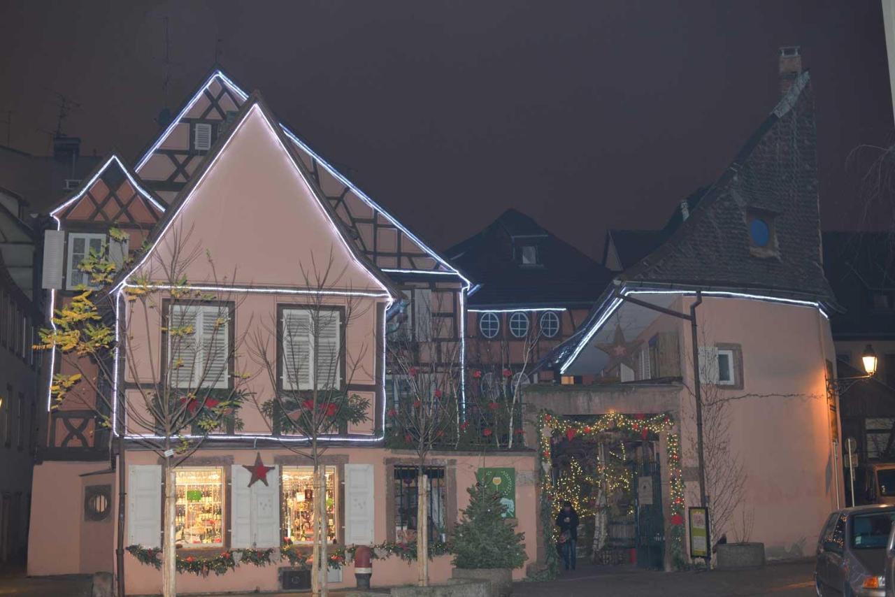 CHEZ MYRIAM Bed&Breakfast chez le VIGNERON Colmar Exterior foto
