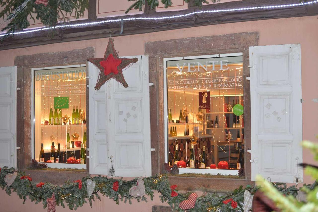 CHEZ MYRIAM Bed&Breakfast chez le VIGNERON Colmar Exterior foto