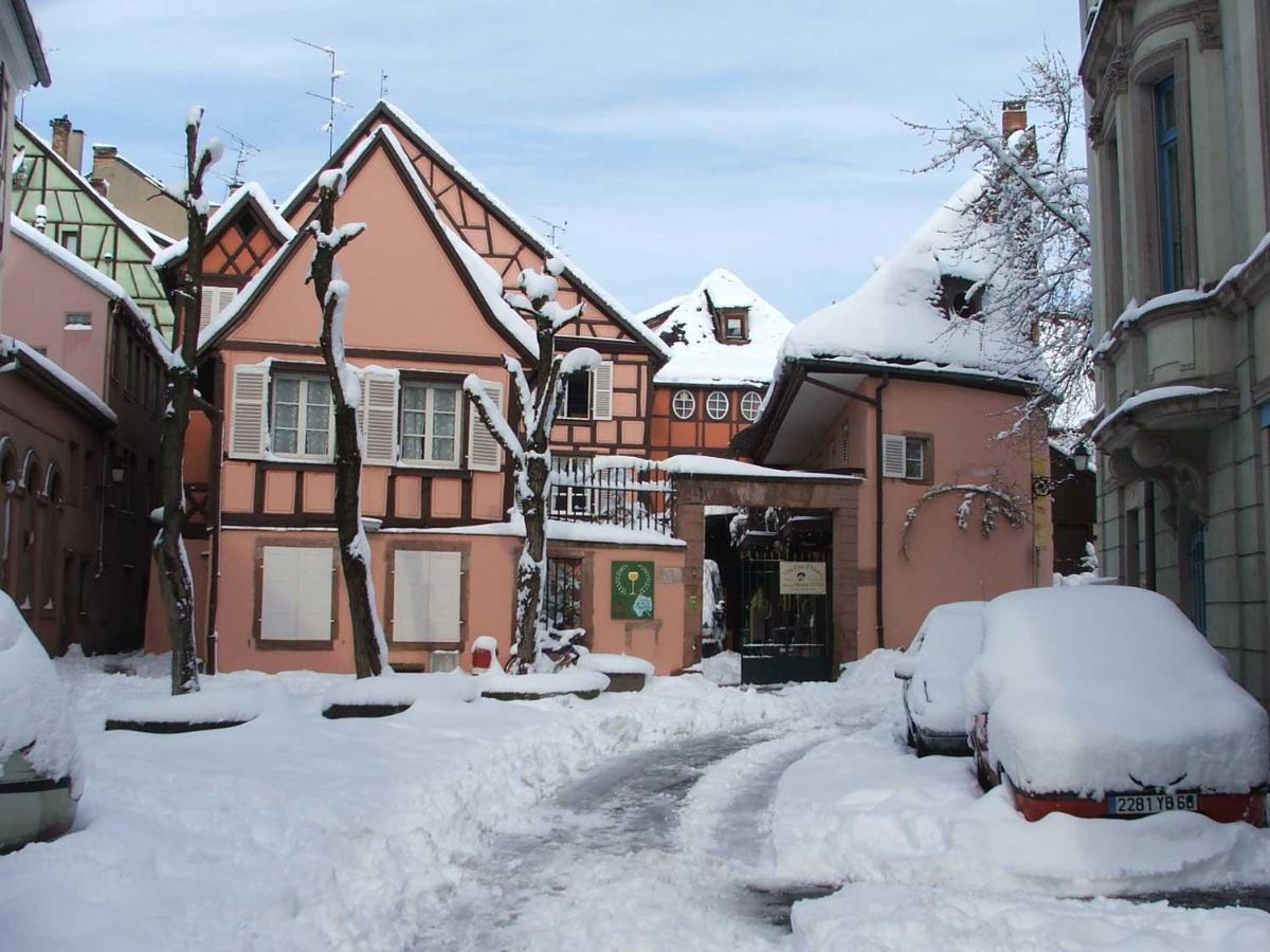CHEZ MYRIAM Bed&Breakfast chez le VIGNERON Colmar Exterior foto