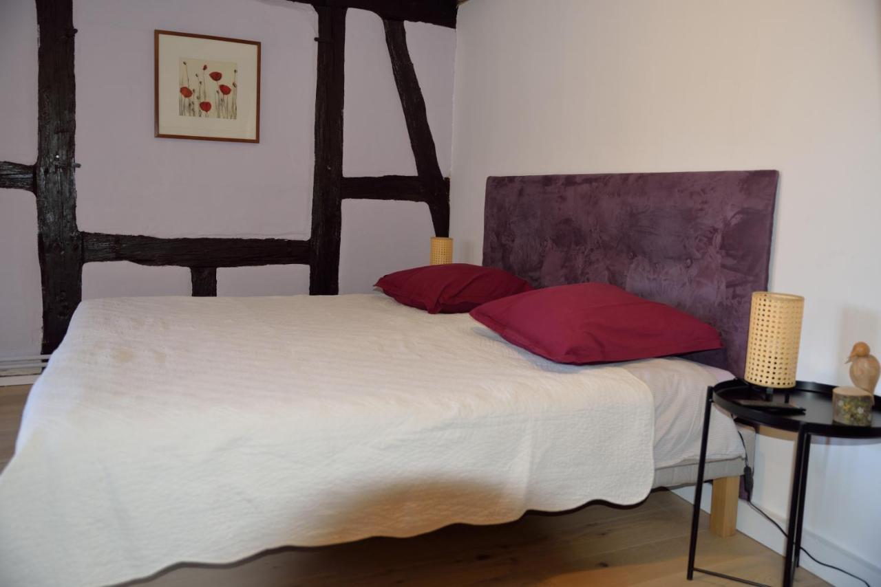 CHEZ MYRIAM Bed&Breakfast chez le VIGNERON Colmar Exterior foto
